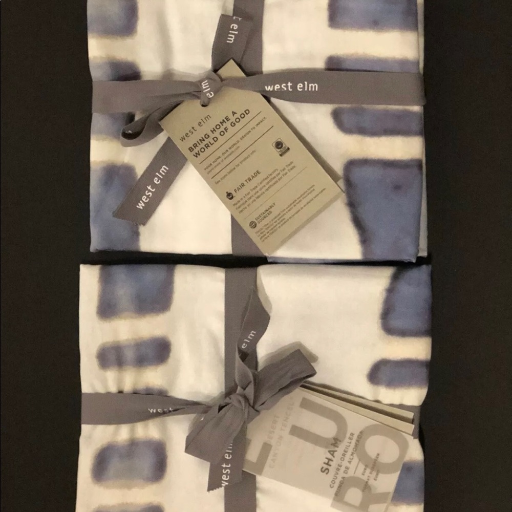 NWT West Elm Desert Canyon Euro Pillow Cases Shams